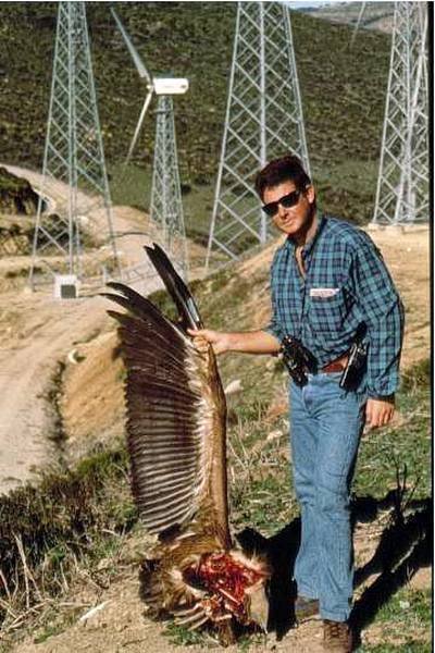 eolicas 1.jpg (79729 bytes)